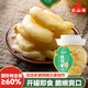 云山半泡仔姜500g安徽銅陵白姜嫩姜芽 泡菜即食泡姜下飯腌醬菜咸菜500g