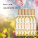 夢(mèng)隴法國(guó)波爾多原瓶進(jìn)口干紅葡萄酒紅酒750ml 花語(yǔ)甜白【六支】