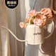 麥桶桶（Mr.Bin）澆花水壺長(cháng)嘴家用專(zhuān)用尖小細嘴高顏值多肉噴壺灑澆水壺花壺 長(cháng)嘴澆花壺丨根部澆灌 出水細密