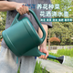 泛彩澆水壺長(cháng)嘴家用大容量噴頭花灑噴壺菜園種菜農用灑水壺淋花澆花桶 復古綠3升【裝滿(mǎn)約6斤水】