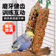 捕漁達(dá)人 鸚鵡零食果蔬磨牙棒*1根 鸚鵡磨牙棒谷物啃咬訓(xùn)練獎(jiǎng)勵(lì)食物滋養(yǎng)丸