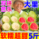 黃六爺紅心芭樂(lè)新鮮水果5斤紅心番石榴奶油芭巴樂(lè)軟糯胭脂紅番石榴包郵 500g 【紅白心雙拼芭樂(lè)】