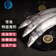 七冰東 帶魚新鮮海釣大帶魚整條特級釣帶魚段整箱刀魚海鮮水產生鮮魚類 特級海釣帶魚 1-1.4斤/條【大號5斤】