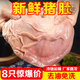 豬肚8只裝新鮮速凍整只免洗去油土豬豬肚子內(nèi)臟肚生豬肚6冷鏈 新鮮豬肚【2只裝】試吃嘗鮮