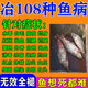華畜水產(chǎn)養(yǎng)殖專用藥魚塘魚爛身爛尾炸鱗白點(diǎn)病消毒殺菌水霉病專用魚藥 100%特效單瓶裝【一瓶可用五畝】