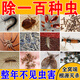 殺蟲(chóng)劑家用室內無(wú)毒殺爬蟲(chóng)多種蟲(chóng)除蟑螂螞蟻蒼蠅蚊子臭蟲(chóng)跳蚤噴霧 殺蟲(chóng)劑單瓶裝【植物清香 不傷人寵】