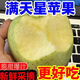 山西新鮮蘋果青蘋果水果孕婦酸甜脆當(dāng)應(yīng)季批發(fā)整箱富士平果王林 帶箱5斤【精選】