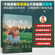 手機(jī)攝影一本通 手機(jī)攝影自學(xué)寶典 手機(jī)攝影工具書 器材篇構(gòu)圖篇手法篇后期篇等攝影全鏈條應(yīng)用教程 手機(jī)攝影初學(xué)者入門參考書 手機(jī)攝影一本通