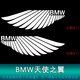 寶馬車門迎賓燈原廠5系525li新3系325li/i3 x1x3x4x5x6鐳射氛圍燈 寶馬天使之翼【請備注車型年份】 4個