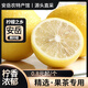 檸之純水果檸檬黃檸檬安岳新鮮黃檸檬鮮檸檬現(xiàn)摘鮮檸檬榨汁泡水 2枚裝單果80-100g