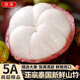 京地達(dá)泰國(guó)山竹5A 凈含量4.8斤單果80g山竹鮮果精品應(yīng)季源頭直發(fā)包郵