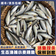 捕漁笙微山湖新鮮小麥穗魚生態(tài)野捕小河魚羅漢魚活魚現(xiàn)殺淡水小雜魚凈膛 麥穗魚5厘米左右（凈膛宰殺） 凈重1斤裝