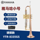 雅馬哈工藝小號YTR-8335GS降B調(diào)小號樂器初學(xué)演奏專用4335款西洋樂器 YTR-8335磷銅款（皮箱專業(yè)演奏）