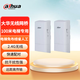 大華股份DAHUA無(wú)線(xiàn)網(wǎng)橋2.4G/5.8G電梯弱電安防監(jiān)控?cái)z像頭專(zhuān)用無(wú)線(xiàn)AP大功率室外傳輸免布線(xiàn)省人工布線(xiàn)網(wǎng)絡(luò)工程用 100米傳輸一對(duì)DH-WBD2-60N-01LC