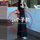 皮爾卡丹（pierre cardin）白色冰絲褲裙夏款2025新款小個(gè)子百褶a字半身垂感闊腿裙褲 黑色褲裙-小個(gè)子款(身高145-155C M :建議體重:100-110斤
