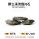蕉京魚(yú)缸造景石原生溪流石主石大塊巖片石頭底砂天然原石專(zhuān)用龜缸躲避 【10-15cm】4-7塊/溪流巖片石5斤 無(wú)規格