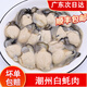 生蠔肉 牡蠣肉 去殼海蠣肉潮汕蠔烙仔水產(chǎn)品新鮮現捕現開(kāi)蠔肉 中蠔 1500g