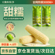 天勤粒粒凈有機大白糯玉米8穗*300g（4.8斤）玉米棒糯玉米真空包裝早餐代餐