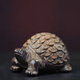 金絲楠陰沉木金錢龜原木桌面擺件規(guī)格長7.5*4.2*4cm