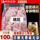 干桃花茶排泡水喝宿桃花水優(yōu)選新花便女士養生花草茶包營(yíng)自店旗艦 桃花茶 共發(fā)100包（獨立三角包）