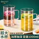 HUYO高硼硅玻璃水杯超大容量帶蓋水果茶冷飲杯加厚耐高溫透明刻度杯子 高硼硅玻璃杯【1000ml】