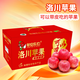 洛川蘋果（luochuanapple）【順豐】陜西延安紅富士蘋果洛川蘋果產(chǎn)地直發(fā)脆甜多汁能帶皮吃 24枚95mm 特大果甄選 鐵粉必選