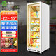 加承冷凍柜商用立式超市冰淇淋雪糕柜大容量低溫冰柜風(fēng)冷急凍冰箱包子餃子速凍食品冷凍展示柜 【-22℃冷凍全屏款】單門(mén)620