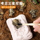 三星堆文物考古盲盒寶石探索寶藏化石兒童博物館挖掘玩具男孩挖土 隨機發(fā)