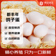 都豐年鴿子蛋20枚共400g 鮮鴿子蛋 源頭直發(fā) 雜糧喂養(yǎng) 孕婦寶寶放心吃 