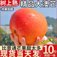 正宗黃金澳芒10斤新鮮大芒果應(yīng)當(dāng)季現(xiàn)摘甜心芒蘋果芒熱帶水果包郵 9斤【進(jìn)口澳芒】