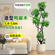 臨雅鴨腳木客廳大盆栽室內(nèi)陽臺(tái)造型綠植物鴨掌木鵝掌財(cái)落地式大型擺件 造型鴨腳木1.4-1.6米+米白聚寶