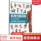 【3冊(cè)】肌肉力量訓(xùn)練圖譜+拉伸訓(xùn)練彩色圖譜+無器械力量訓(xùn)練彩色圖譜 運(yùn)動(dòng)健身健美訓(xùn)練書籍  新華書店正版包郵 肌肉力量訓(xùn)練彩色圖譜
