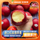 沐瑾新西蘭進(jìn)口紅玫瑰蘋(píng)果新鮮水果小蘋(píng)果紅富士平果脆甜時(shí)令孕婦水果 順豐丨6個(gè)丨單果110g起丨普箱 順豐速發(fā)