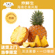 京鮮生 海南芒果鳳梨 凈重7斤單果650g 菠蘿新鮮水果生鮮 源頭直發(fā)