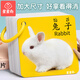 星星舟嬰兒早教卡片兒童玩具1-3歲看圖識(shí)字啟蒙一歲寶寶識(shí)物認(rèn)知卡 【1盒加厚大卡】14*14cm