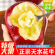 天水花牛蘋(píng)果精選粉面蘋(píng)果5斤甘肅高山黑卡花牛粉果新鮮當季水果R 帶箱3斤 | 小果