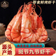 九節蝦干即食【鮮蝦現烤】零食干蝦黑虎蝦干超大烤蝦仁干海產(chǎn)干貨 100g 小蝦【約18-24只】普通快遞