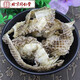 北京同仁堂蛇皮中藥材蛇蛻龍衣蛇皮長(zhǎng)龍皮蛇殼蛇退蛇皮中藥野生蛇皮 蛇皮250克