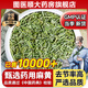 中藥麻黃粉中藥飲片麻中藥材黃麻黃打粉去節(jié)青龍草生麻黃TYS 生麻黃500g【一包】【精選好品質(zhì)】