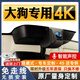 奧影達(dá)哈弗大狗/二代/新能源PHEV/Hi4專用原廠行車記錄儀免走線高清夜視 【4K單鏡頭】原廠免走線+AI智能聲控 64G專用卡