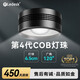 樂迪魚缸燈72W爆藻燈原生態(tài)溪流缸燈金魚出苔 NX扁燈 黑色80W 【五路可調(diào)光譜】