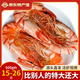 海鮮頌九節(jié)蝦干即食大蝦干烤蝦干對蝦干特大斑節(jié)蝦干海產(chǎn)干貨大烤蝦 特大斑節(jié)蝦干500g