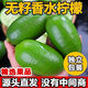 廣東香水檸檬新鮮一級(jí)果應(yīng)當(dāng)季水果海南無(wú)籽青檸檬奶茶店專用9斤 4個(gè)裝海南香水檸檬 50-70g 小果【新鮮嘗鮮】