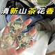 魔法媳婦山茶花五合一洗衣凝珠持久留香洗衣珠護(hù)衣護(hù)色留香珠柔順洗衣液 5D山茶花-100顆【精美袋裝】 升級(jí)款