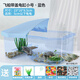 寵尚天 烏龜缸別墅生態(tài)飼養(yǎng)箱小烏龜活物活體龜盆寵物龜中華草龜 【帶蓋】小號(hào)龜缸 藍(lán)+大禮包+2龜