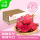 京鮮生 廣西樹(shù)上熟紅心火龍果4.5斤裝 單果300g+ 生鮮水果 源頭直發(fā)