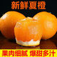 廣西夏橙當(dāng)季現(xiàn)摘橙子新鮮薄皮非正宗沙糖桔3斤/5斤裝水果 5斤 大果65mm-70mm