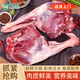 皓謙羔羊后腿肉內(nèi)蒙古全羊新鮮羊后腿肉整只羊腿肉清燉紅燒羊肉禮盒 羊后腿肉2斤 清燉 紅燒