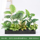 綠道Greenway仿真綠植造景花箱假花組合擺設景觀(guān)戶(hù)外植物盆栽隔斷室內裝飾陽(yáng)臺 B80-5
