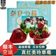 南步淡雪奶油白草莓【順豐空運】白雪公主白粉色真紅美鈴草莓女友禮品 真紅美玲 1000g【4盒*精美禮盒】 巨無(wú)霸果【9粒/盒】頂奢甜果